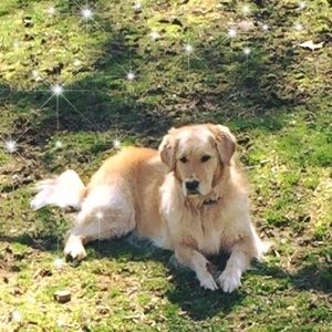 Meet your Posher, Mary beth